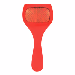 TRIXIE 2359 Rouge Chien Brosse