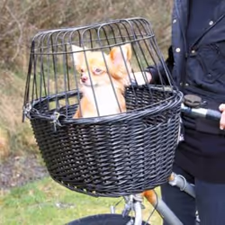 TRIXIE 2818 Cage de transport pour animaux de compagnie