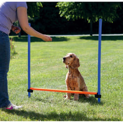 TRIXIE 3207 équipement d'agilité pour chiens et chats 3 pièce(s) Bleu, Orange Plastique Chien Kit d'équipement d'agility