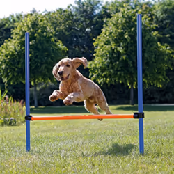 TRIXIE 3207 équipement d'agilité pour chiens et chats 3 pièce(s) Bleu, Orange Plastique Chien Kit d'équipement d'agility