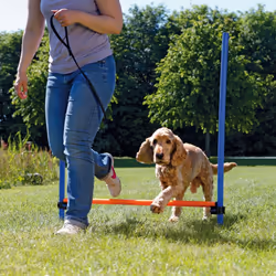 TRIXIE 3207 équipement d'agilité pour chiens et chats 3 pièce(s) Bleu, Orange Plastique Chien Kit d'équipement d'agility