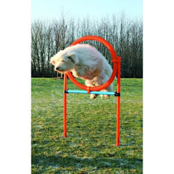TRIXIE 3208 équipement d'agilité pour chiens et chats Bleu, Orange Plastique Chien Kit d'équipement d'agility