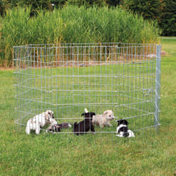 TRIXIE 3954 cage et niche pour petits animaux