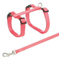 TRIXIE 4188 laisse pour chiens et chats Chat