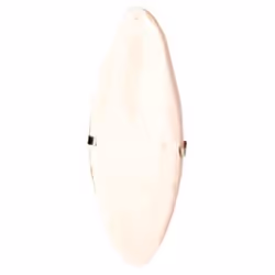 TRIXIE 5050 friandise pour oiseaux de compagnie