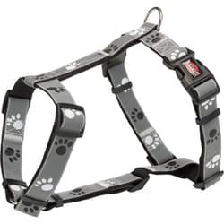 TRIXIE 12231 harnais pour chiens et chats XS-S Chien