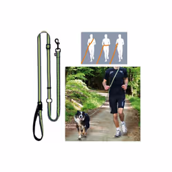 TRIXIE 12763, Chien, Laisse éducative, Vert, Gris, 1,8 m