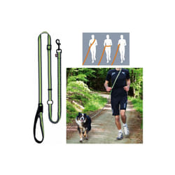 TRIXIE 12763 laisse pour chiens et chats 1,8 m Vert, Gris Chien Laisse éducative
