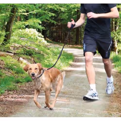 TRIXIE 12764 1,3 m Noir Chien Laisse standard