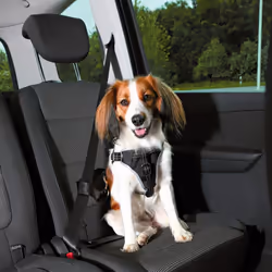TRIXIE Harnais pour voiture Dog Protect