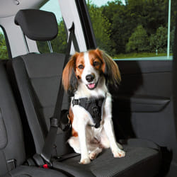 TRIXIE Harnais pour voiture Dog Protect