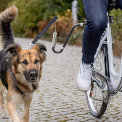 TRIXIE 12860 pièce de rechange et accessoire de bicyclette Montage de la fixation de la laisse pour chien