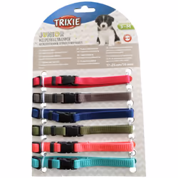 Set collier chiot pour mieux distinguer les chiots laisse bande réglable en continu pour habituer les chiots à porter un coll ...