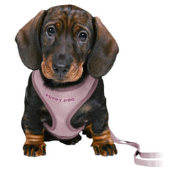 Harnais pour chien souple avec laisse Trixie