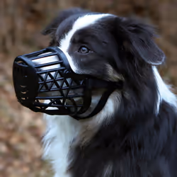 TRIXIE 17605 muselière pour chiens et chats