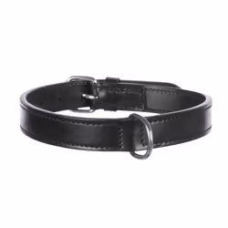TRIXIE 18241, Chien, Collier standard, Noir, Cuir, Monochromatique, Moyen