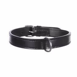 TRIXIE 18251, Chien, Collier standard, Noir, Cuir véritable, Monochromatique, Moyen