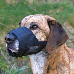TRIXIE 19265 muselière pour chiens et chats