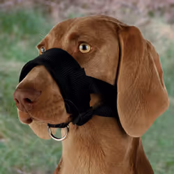 TRIXIE 19282, Chien, Muselière en nylon, XL, Noir, Monochromatique, Nylon
