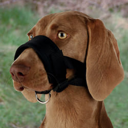 TRIXIE 19282 muselière pour chiens et chats