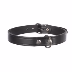 TRIXIE 19381, Chien, Collier standard, Noir, Cuir véritable, Monochromatique, Large