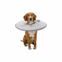 TRIXIE 19424, Chien, Collier de tête, Gris, mousse, Polyester, Monochromatique, 3,8 cm