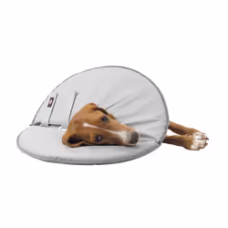 TRIXIE 19427 collier pour chiens et chats Gris mousse, Polyester Extra large Chien - Vue supplémentaire 4