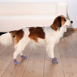 TRIXIE 19501 chaussette pour chien - Vue supplémentaire 2
