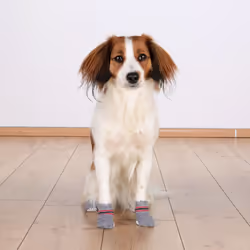 TRIXIE 19501 chaussette pour chien - Vue supplémentaire 4