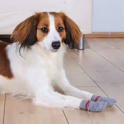 TRIXIE 19503 chaussette pour chien - Vue supplémentaire 3