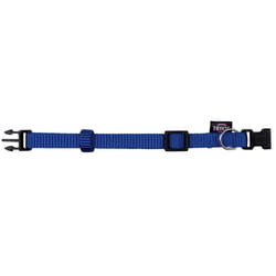 TRIXIE 20142 collier pour chiens et chats Bleu Nylon XS-S Chien Collier standard