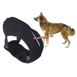 Trixie Culottes TX-23492 Chien S/M (1 Pièce)