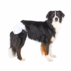 TRIXIE 23631 Chien