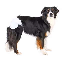 TRIXIE 23634 Chien