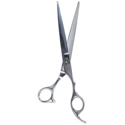 Ciseaux professionnels, en acier inoxydable Trixie (x2)