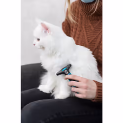TRIXIE Carding Noir, Turquoise Chat Brosse de toilettage