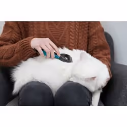 TRIXIE 24241 brosse de toilettage pour animaux de compagnie - Vue supplémentaire 4