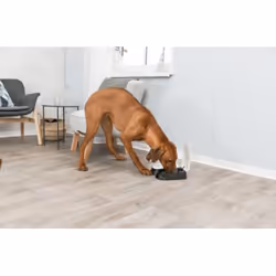 TRIXIE 24372 gamelle et abreuvoir pour chiens et chats Plastique Noir, Blanc Chien Distributeur automatique pour animaux de compagnie - Vue supplémentaire 3