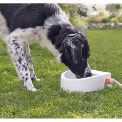 TRIXIE 24395 gamelle et abreuvoir pour chiens et chats Plastique Blanc Chien Fontaine à eau automatique pour animaux de compagnie