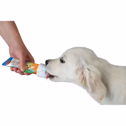 TRIXIE 24555 gourde pour chien