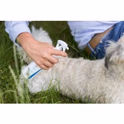 TRIXIE 25394 shampooing pour animaux 250 ml