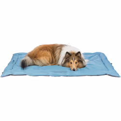 TRIXIE 28266, Intérieure, Chien, Polyester, 1200 mm, 800 mm