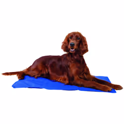 TRIXIE 28684, Lit rafraîchissant pour animaux de compagnie, Voiture, Intérieur & extérieur, Chien, Bleu, Rectangulaire, Monoc ...
