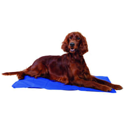 TRIXIE 28684 coussin pour chiens et chats Lit rafraîchissant pour animaux de compagnie