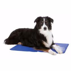 Matelas rafraîchissant. taille M. 50 x 40 cm. aide à réguler la température corporelle les jours de chaleur. aspect nylon (po ...