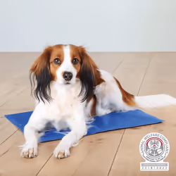Trixie Lit pour chien Tx-28688 Bleu