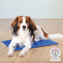 Trixie Lit pour chien Tx-28688 Bleu