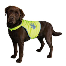 TRIXIE 30080 manteau d’extérieur pour chiens et chats XS Vert Polyester Chien