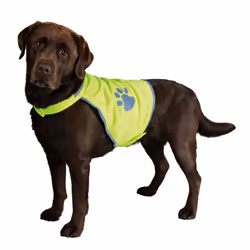 TRIXIE 30081, Chien, S, Vert, Polyester, 39 cm, 50 cm
