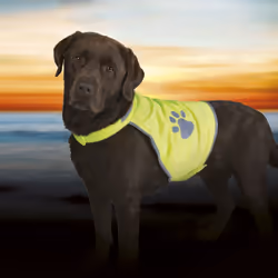 TRIXIE 30082 Gilet de sauvetage pour chiens M Polyester Vert